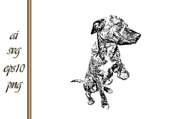 American Pit Bull Dog Sketch Vector