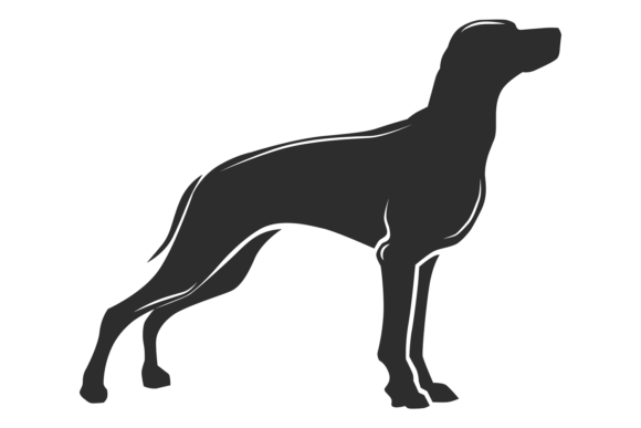 Black Dog Silhouette