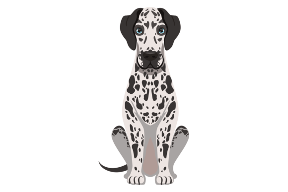 Dalmatian Icon: Funny Dog Sitting. Domes