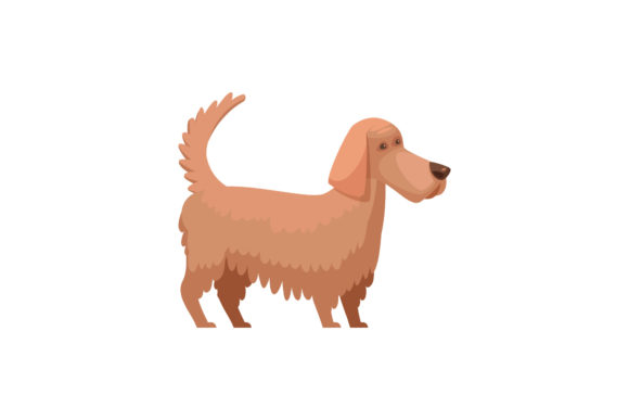 Dog Pet Animal