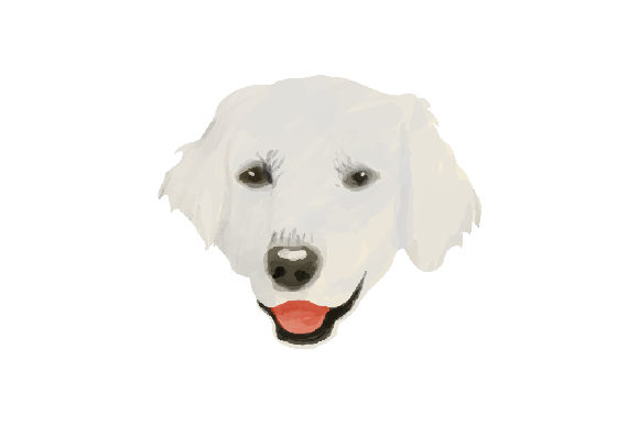 Kuvasz Dog Floating Face Watercolor