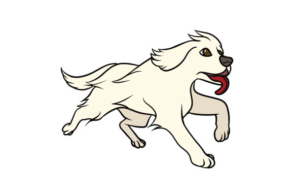 Kuvasz Dog Running