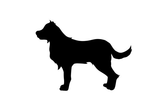 Kuvasz Dog Silhouette