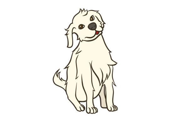 Kuvasz Dog Sitting