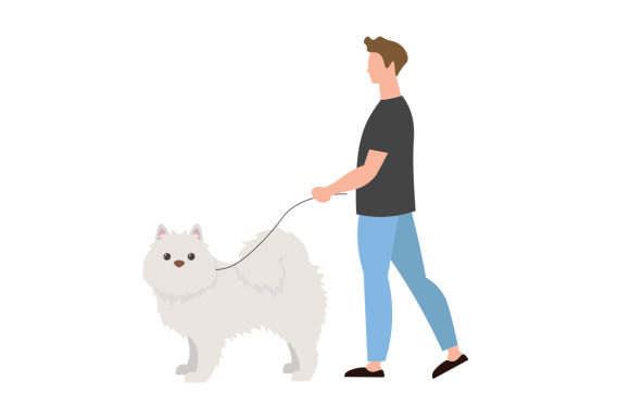 Man Walking American Eskimo Dog